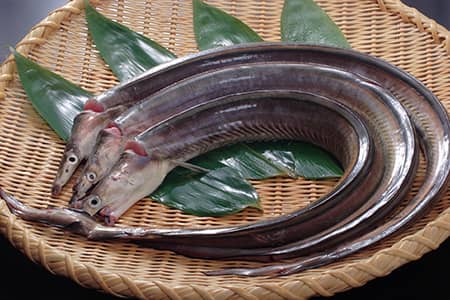 季節のはも料理